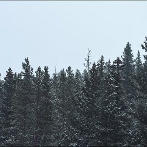 Meet your Posher, Kacey